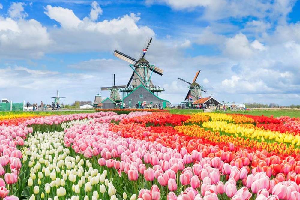 Salsa in Netherlands